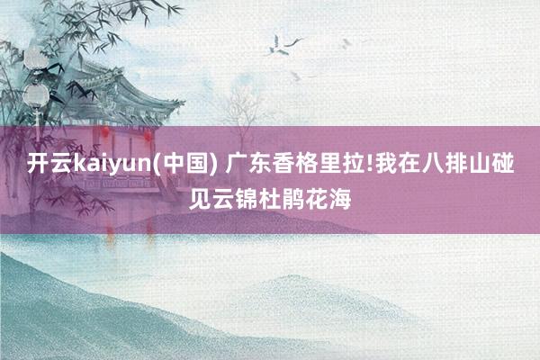 开云kaiyun(中国) 广东香格里拉!我在八排山碰见云锦杜鹃花海