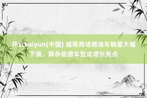 开云kaiyun(中国) 越南商场燃油车销量大幅下滑，羼杂能源车型成增长亮点