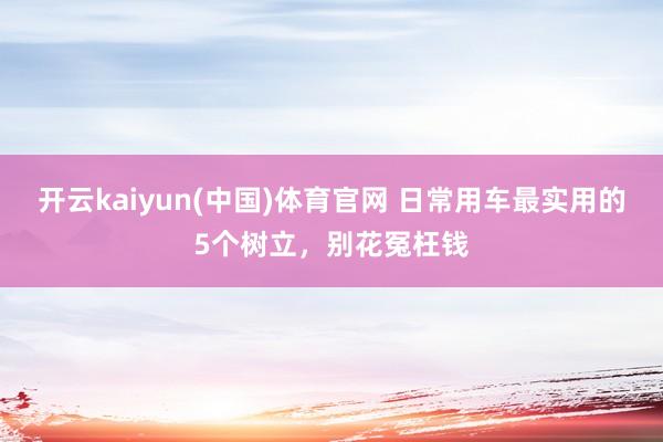 开云kaiyun(中国)体育官网 日常用车最实用的5个树立，别花冤枉钱