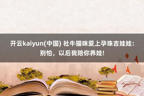 开云kaiyun(中国) 社牛猫咪爱上孕珠吉娃娃：别怕，以后我陪你养娃!