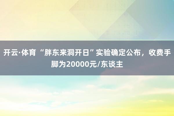 开云·体育 “胖东来洞开日”实验确定公布，收费手脚为20000元/东谈主
