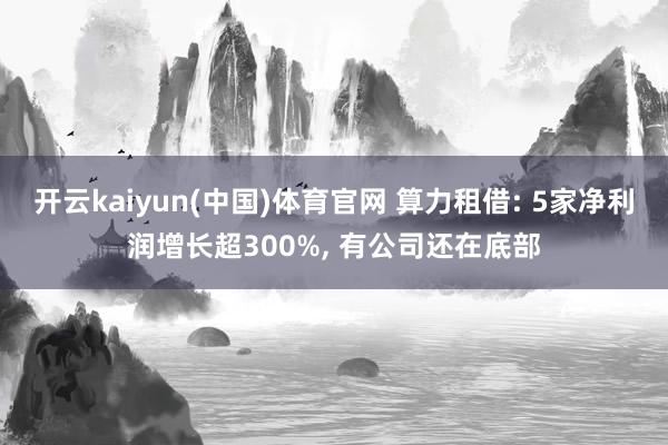 开云kaiyun(中国)体育官网 算力租借: 5家净利润增长超300%， 有公司还在底部