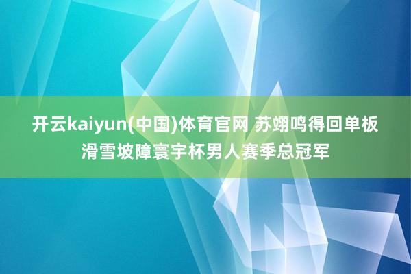 开云kaiyun(中国)体育官网 苏翊鸣得回单板滑雪坡障寰宇杯男人赛季总冠军