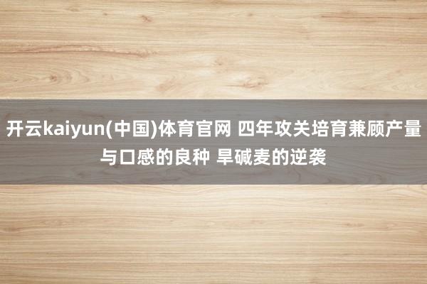 开云kaiyun(中国)体育官网 四年攻关培育兼顾产量与口感的良种 旱碱麦的逆袭