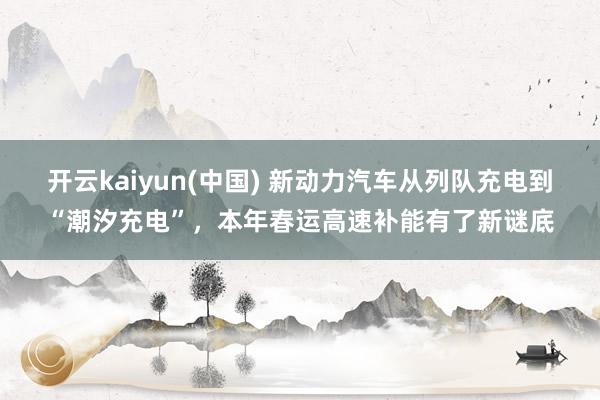 开云kaiyun(中国) 新动力汽车从列队充电到“潮汐充电”，本年春运高速补能有了新谜底