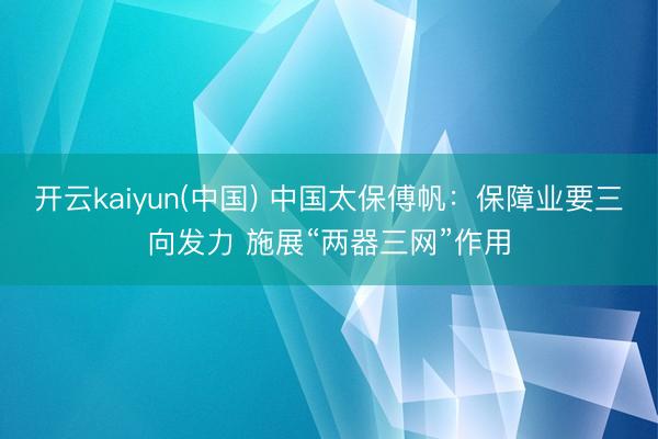 开云kaiyun(中国) 中国太保傅帆：保障业要三向发力 施展“两器三网”作用