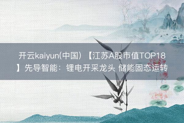 开云kaiyun(中国) 【江苏A股市值TOP18】先导智能：锂电开采龙头 储能固态运转
