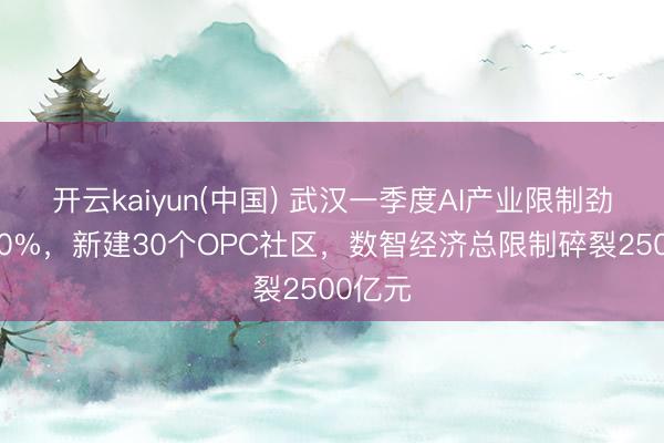 开云kaiyun(中国) 武汉一季度AI产业限制劲增超30%，新建30个OPC社区，数智经济总限制碎裂2500亿元