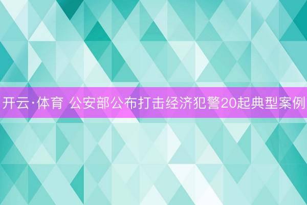 开云·体育 公安部公布打击经济犯警20起典型案例