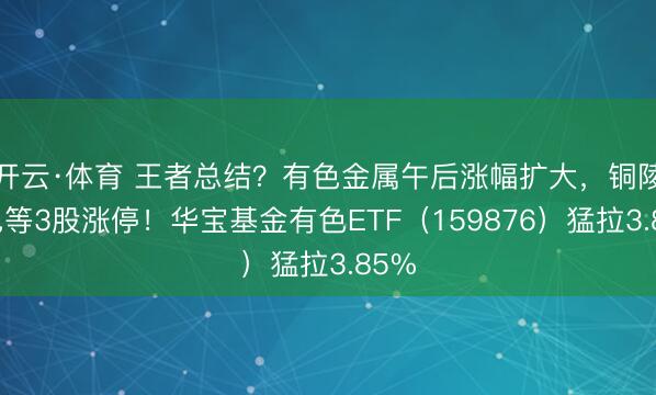开云·体育 王者总结？有色金属午后涨幅扩大，铜陵有色等3股涨停！华宝基金有色ETF（159876）猛拉3.85%