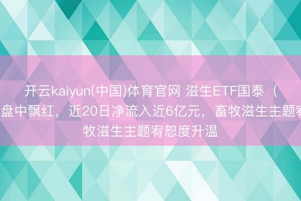 开云kaiyun(中国)体育官网 滋生ETF国泰（159865）盘中飘红，近20日净流入近6亿元，畜牧滋生主题宥恕度升温