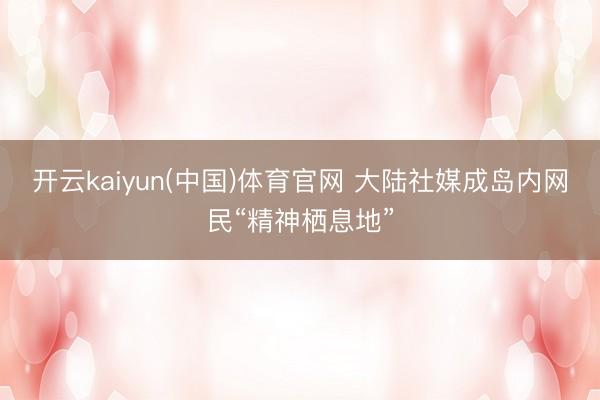 开云kaiyun(中国)体育官网 大陆社媒成岛内网民“精神栖息地”