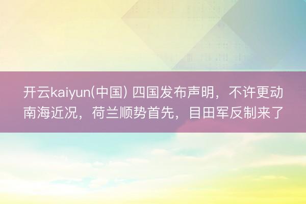 开云kaiyun(中国) 四国发布声明，不许更动南海近况，荷兰顺势首先，目田军反制来了