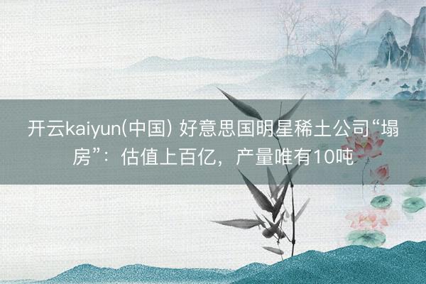 开云kaiyun(中国) 好意思国明星稀土公司“塌房”：估值上百亿，产量唯有10吨