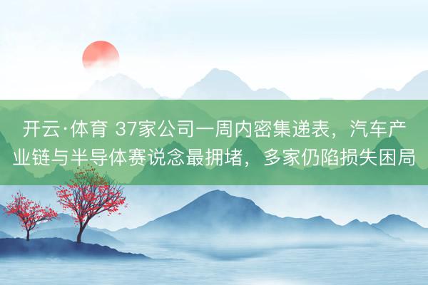 开云·体育 37家公司一周内密集递表，汽车产业链与半导体赛说念最拥堵，多家仍陷损失困局