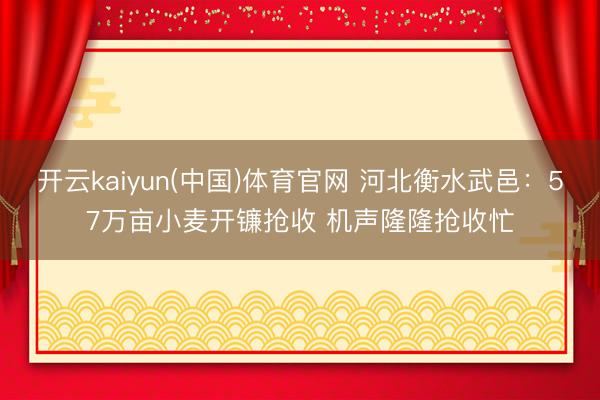 开云kaiyun(中国)体育官网 河北衡水武邑：57万亩小麦开镰抢收 机声隆隆抢收忙