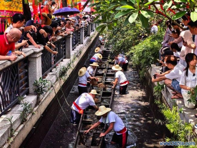 佛山南海大沥端午龙舟盛事启幕