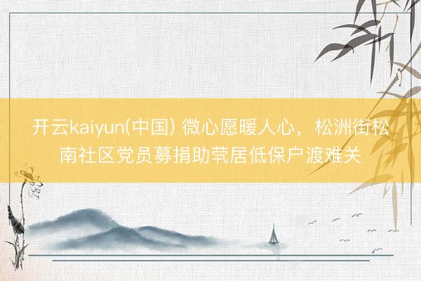 开云kaiyun(中国) 微心愿暖人心,松洲街松南社区党员募捐助茕居低保户渡难关